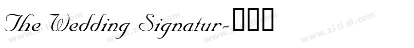 The Wedding Signatur字体转换